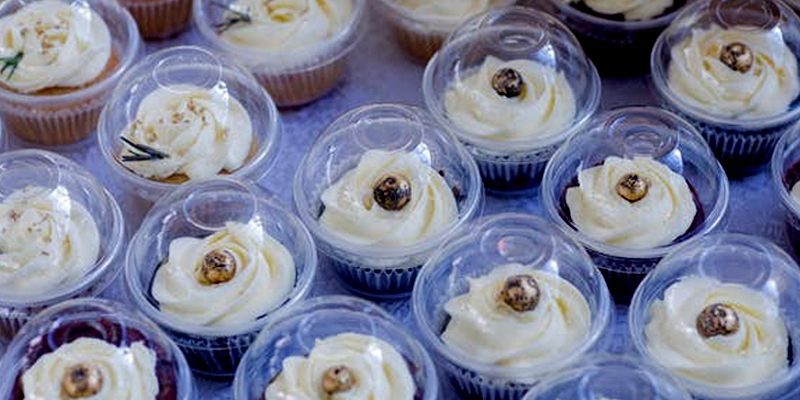 site_contentsuite.offres_de_stage_alt-logo